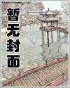 三妻四妾外传1——流水似无情封面